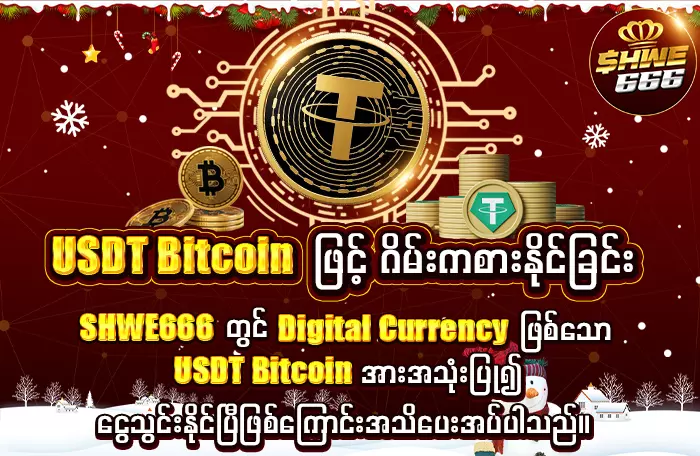 AnyConv.com__USDT Bitcoin 700 (12)